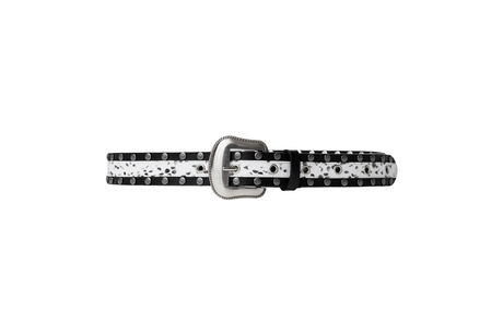 Car steering rack on a white background