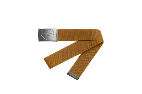 Brown belt with silver buckle on a white background